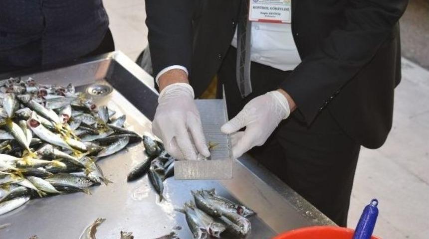 Ordu&rsquo;da Balık Satış Yerleri Denetleniyor