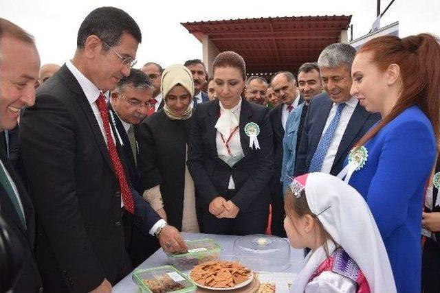 Başbakan Yardımcısı Canikli: “2002’den Bu Yana Fındık Üreticisi Mağdur Olmadı”