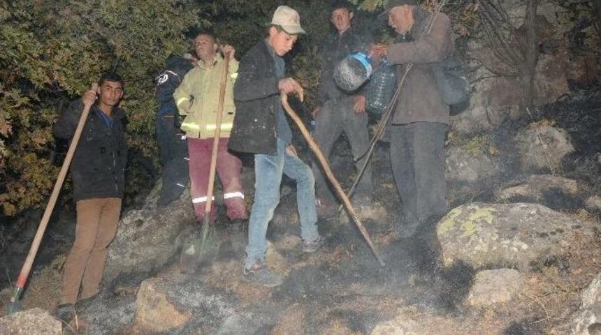 Aksaray&rsquo;da Orman Yangını