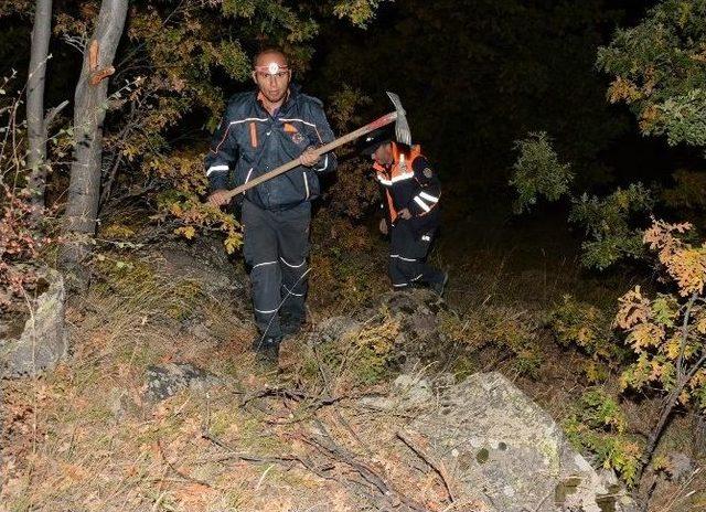 Aksaray’da Orman Yangını