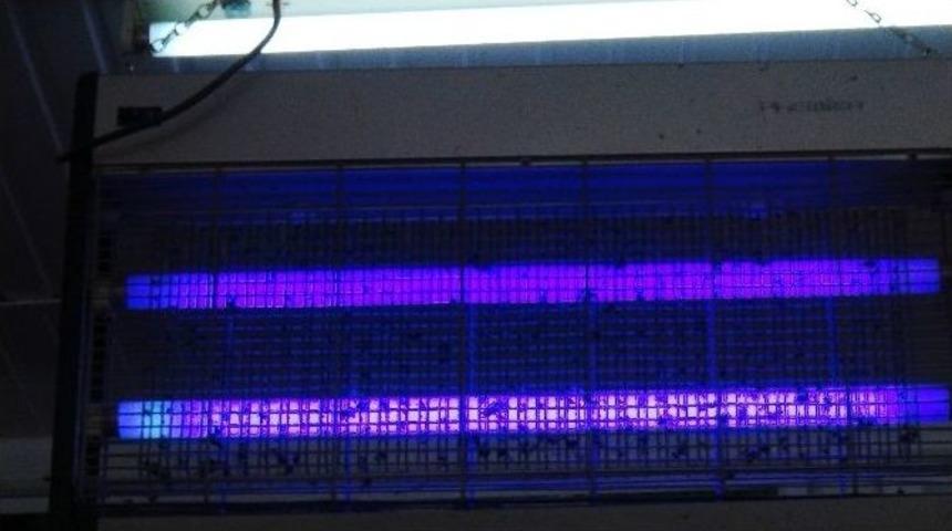 İslahiye&rsquo;de Karasinek İstilası