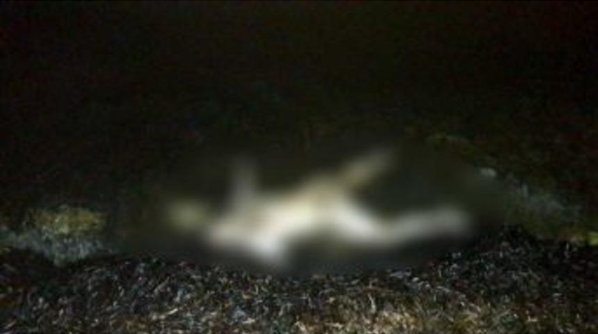 Milas&rsquo;ta Sahile Vurmuş Ceset Bulundu