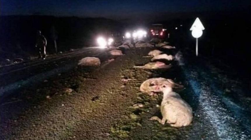 Kamyonet&rsquo;in &Ccedil;arptığı 44 Koyun Telef Oldu