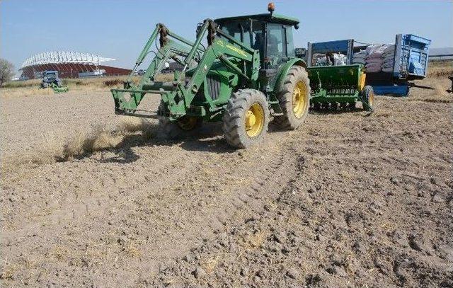Aksaray&rsquo;da Tohumlar Toprakla Buluştu 1