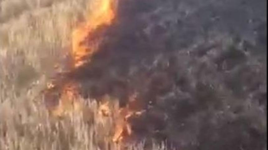 Anız Yangınından Sı&ccedil;rayan Alevler Ağa&ccedil;landırma Sahasındaki Fidanları K&uuml;l Etti