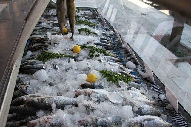 Silopi&rsquo;de Balık Satışları Esnafı Sevindirdi 1