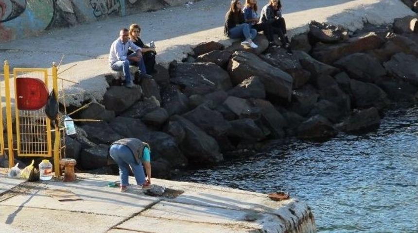 Oltasına Bu Kez Martı Takıldı