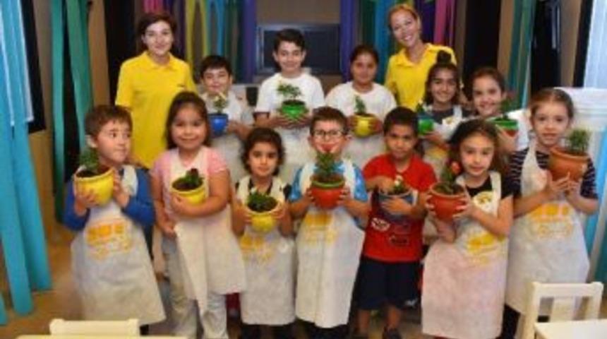 Forumb&uuml;s &Ccedil;i&ccedil;ek A&ccedil;ıyor