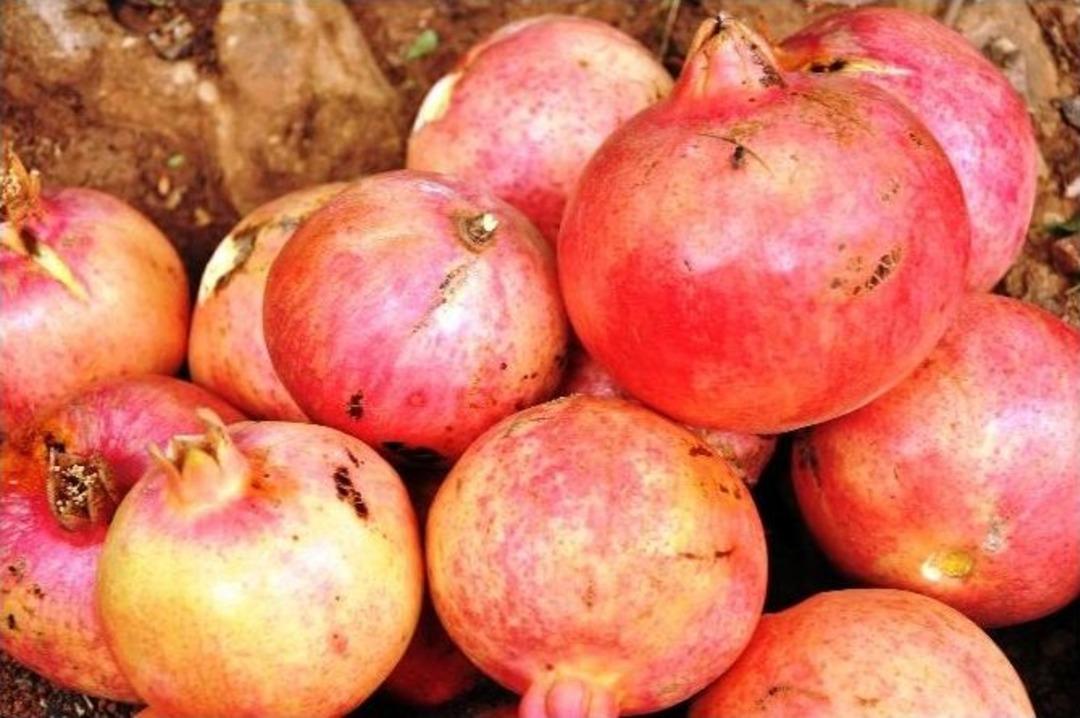 Narın Tahta Kaşıktan &Ccedil;izmeli Ayaklara Kadar Uzanan &rsquo;ekşi&rsquo; Yolculuğu