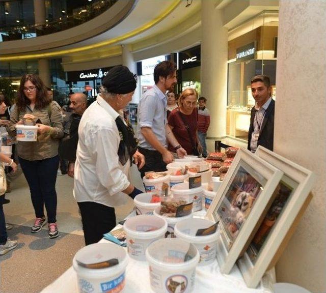 Ömür Gedik Sokak Hayvanları İçin Mama Dağıttı