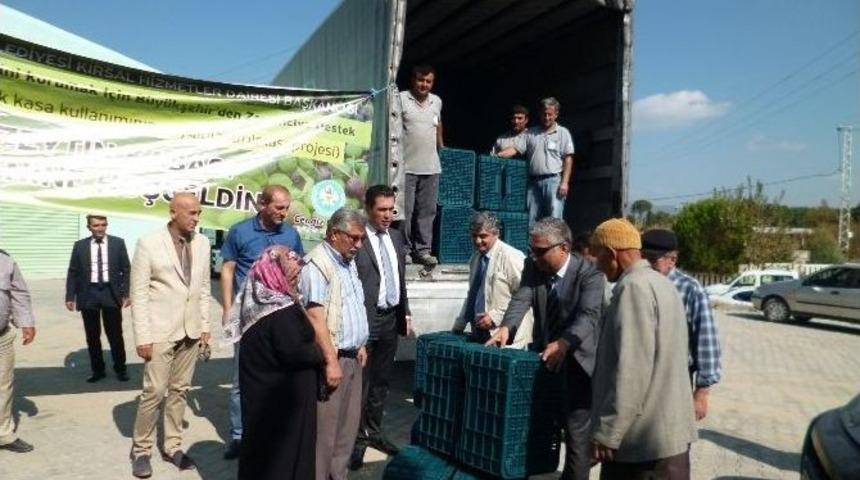 Somalı Zeytin &Uuml;reticisine Destek