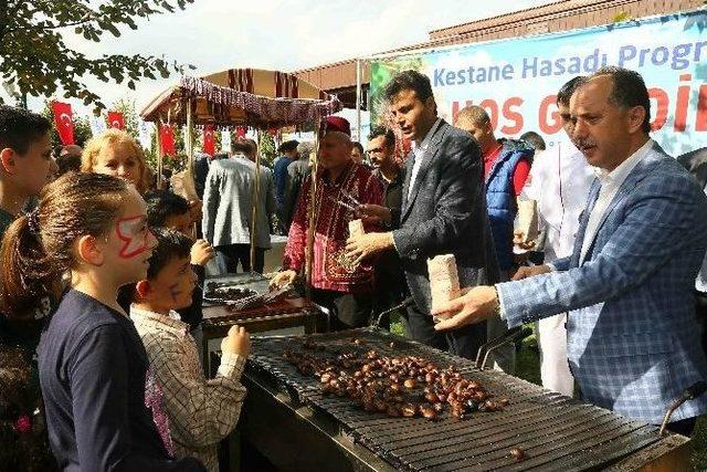 Bağcılar’da, Kestane Hasadı Zamanı