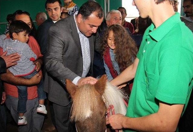 Miniklerin Heyecanla Beklediği ’pony Park’ Açıldı