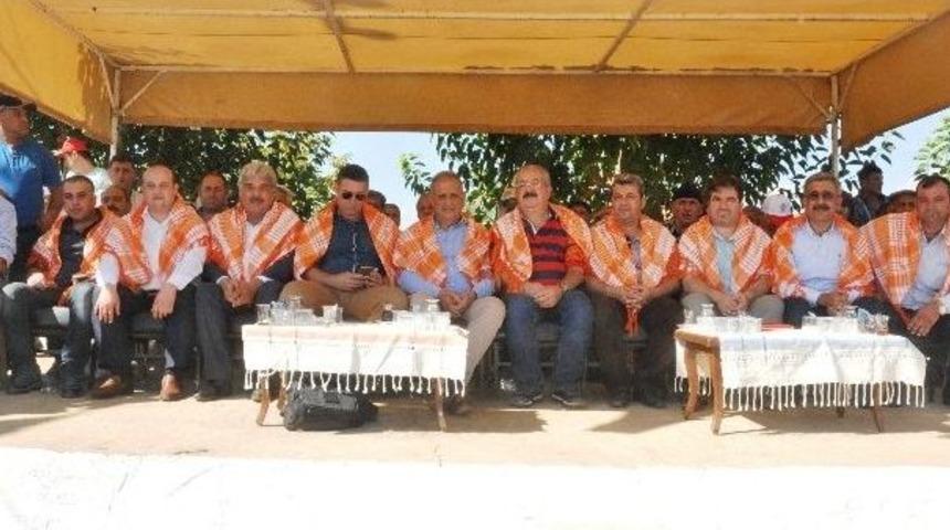 Rahvan Atlar 31. Kez Yarıştı