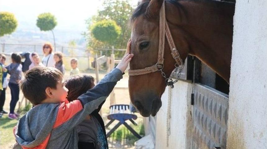G&uuml;&ccedil; Koleji&rsquo;nin Minikleri At &Ccedil;iftliğinde Eğlendi
