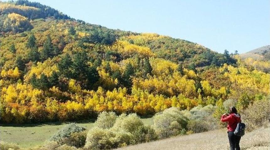 G&uuml;m&uuml;şhaneli Dağcılardan G&uuml;zyurdu K&ouml;y&uuml;ne &lsquo;g&uuml;z&rsquo; Y&uuml;r&uuml;y&uuml;ş&uuml;