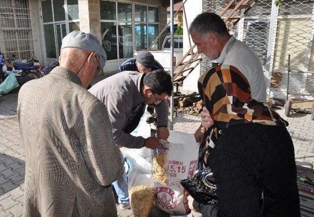 Tescilli Kabak Çekirdeğinin Hasadı Başladı