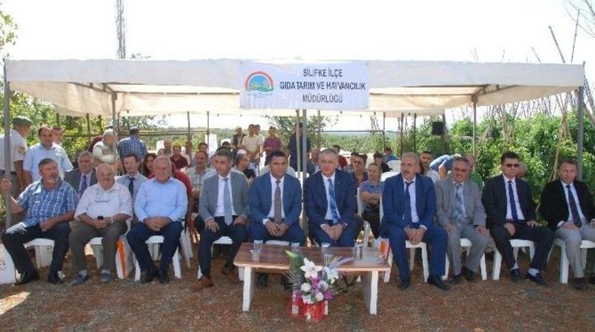 Silifke&rsquo;de İyi Tarım Uygulamaları Sertifika Dağıtım Ve Tarla G&uuml;n&uuml; Etkinliği