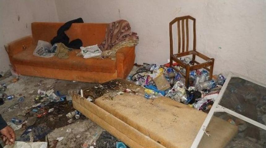 17 Yaşındaki Gen&ccedil; Bonzaiden &Ouml;ld&uuml;