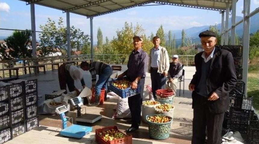 H&uuml;nnap Pazardaki Yerini Aldı