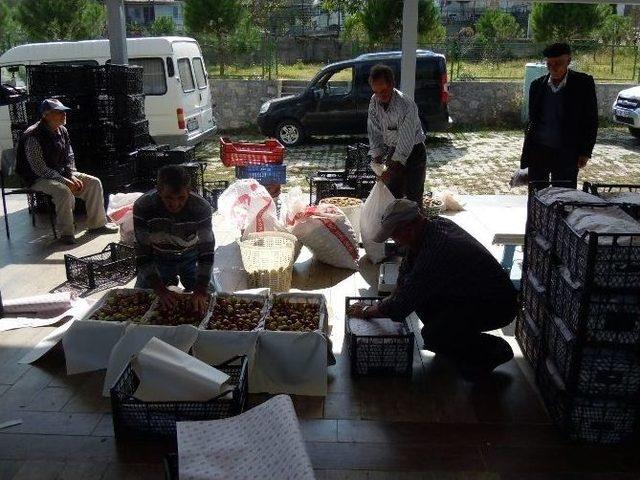 H&uuml;nnap Pazardaki Yerini Aldı 1