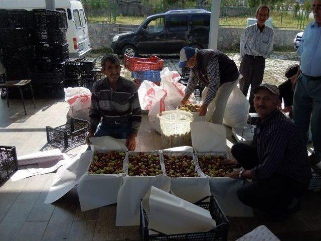 H&uuml;nnap Pazardaki Yerini Aldı 2