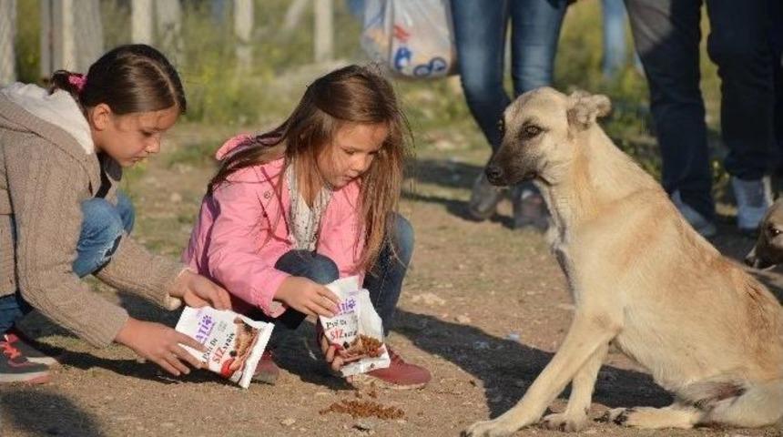 Bu Sefer Hayvanlar İ&ccedil;in Kontak A&ccedil;tılar
