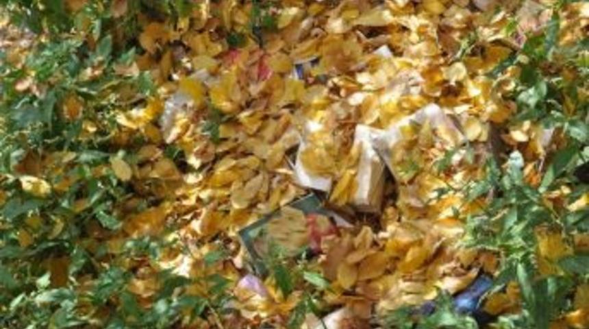 Kars &Ccedil;ayı Kenarında &Ccedil;ok Sayıda Yasaklı Kitap Ele Ge&ccedil;irildi