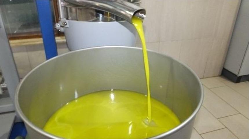 Burhaniye&rsquo;de Zeytinyağında Y&uuml;ksek Kalite Sevinci