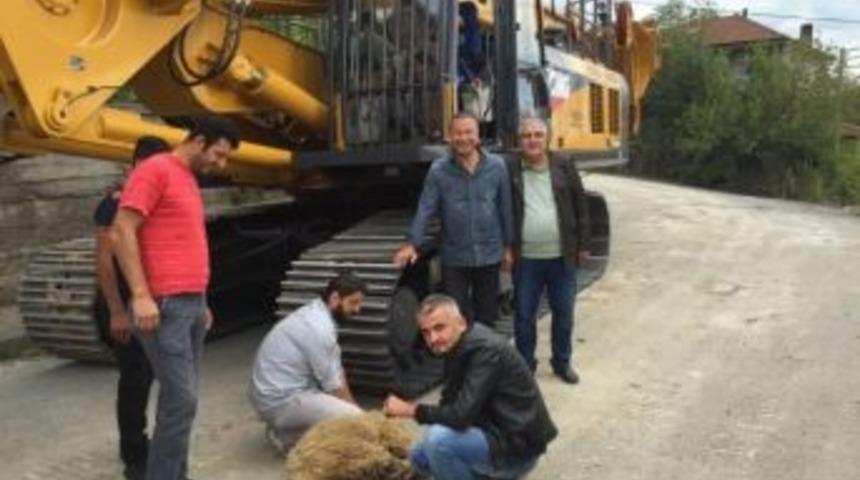&Ccedil;ebioğlu&rsquo;ndan Dev Yatırım
