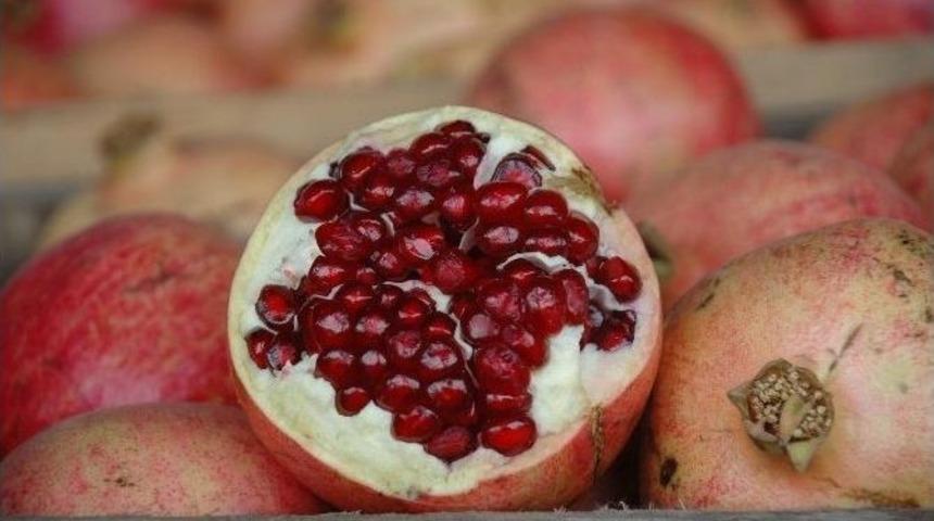Siirt&rsquo; Zivzik Narı Hasadı Başladı