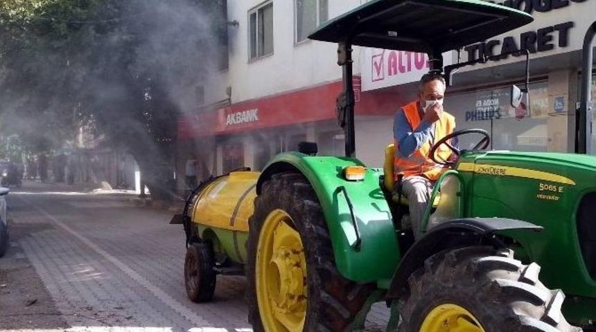 Kara Sinek İstilasında İla&ccedil;lı M&uuml;cadele De &Ccedil;are Olmuyor