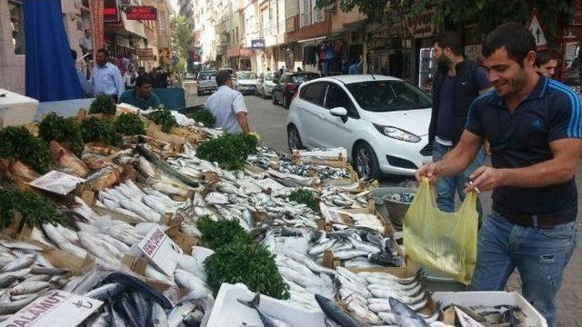 Kırmızı Et Fiyatları Artınca Balık Çeşitlerine Rağbet