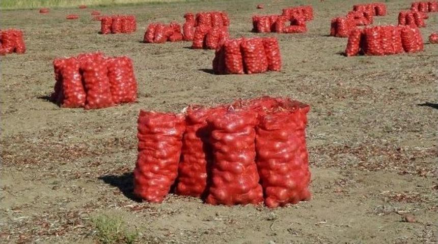 Başkent&rsquo;te Soğan &Ccedil;ift&ccedil;iyi Bu Sene &Uuml;zd&uuml;