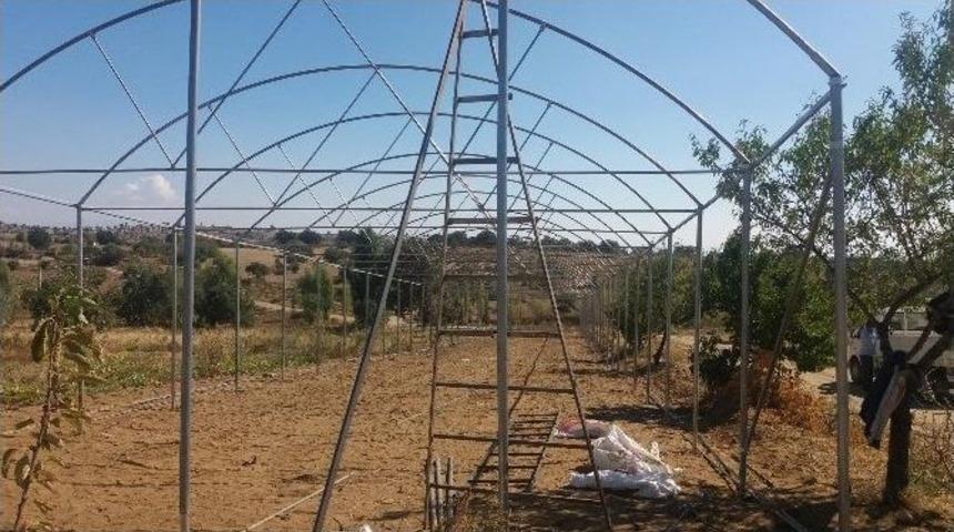 Seracılığa Y&uuml;zde 75 Hibe Desteği