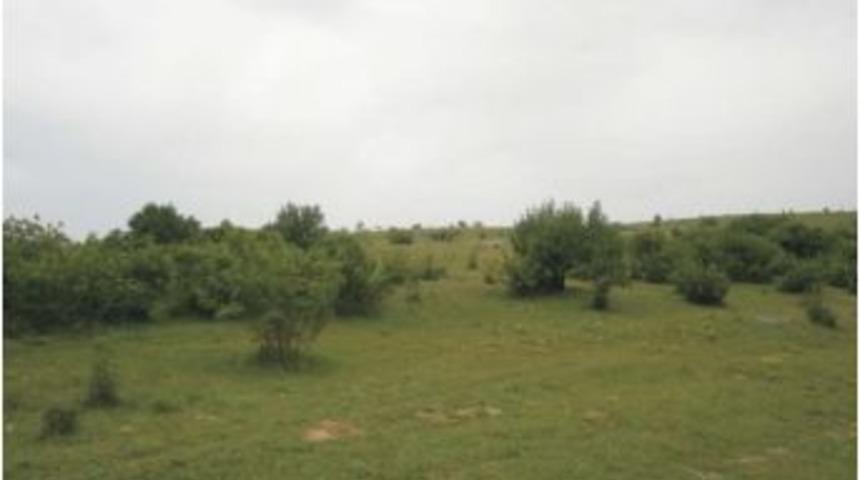 &Ccedil;oğal: "&ccedil;&ouml;mlek K&ouml;y Merası, Kalker Ocağına D&ouml;n&uuml;şt&uuml;r&uuml;lmek İsteniyor"