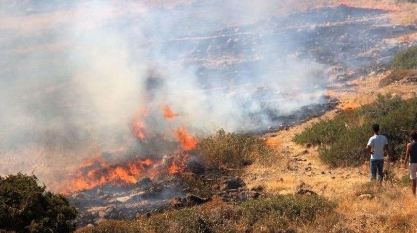 Tarihi Değirmen Tepesi Alevlere Yenik D&uuml;şt&uuml;