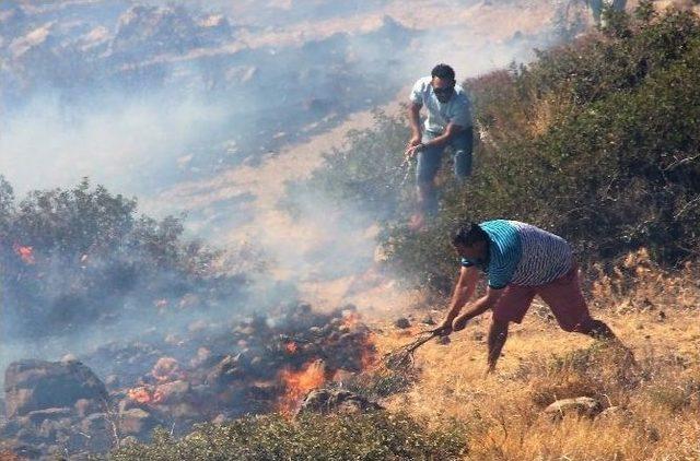 Tarihi Değirmen Tepesi Alevlere Yenik D&uuml;şt&uuml; 1