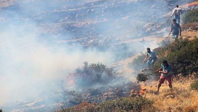 Tarihi Değirmen Tepesi Alevlere Yenik D&uuml;şt&uuml; 2