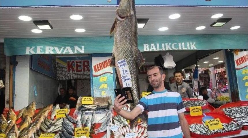Bu Balıkla Fotoğraf &Ccedil;ektirmek Parayla