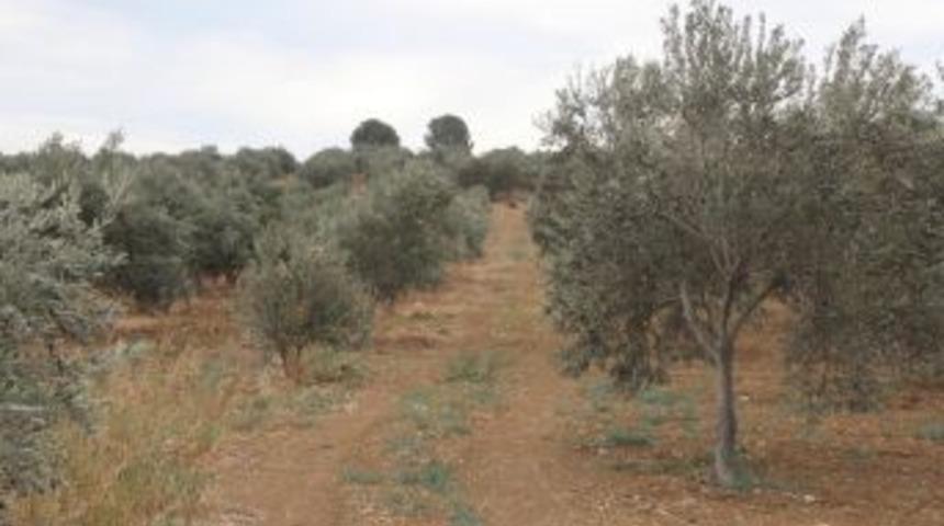 İzmir&rsquo;de İnşaat İş&ccedil;isi, Silahla &Ouml;ld&uuml;r&uuml;lm&uuml;ş Halde Bulundu