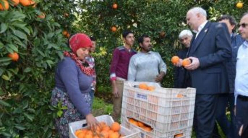 Tzob Genel Başkanı Şemsi Bayraktar: