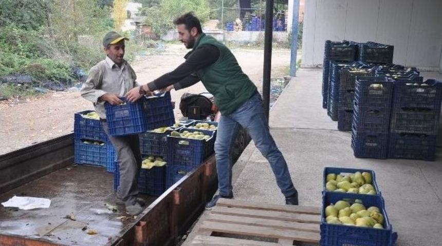 Armut &Uuml;reticisi Fiyattan Yakınıyor