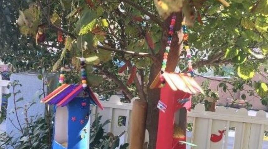 Kreş &Ouml;ğrencilerinden Kuşlar İ&ccedil;in Yem Kabı