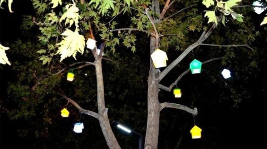 Kuş Yuvası Şeklindeki Işıklandırmalar B&uuml;y&uuml;ledi