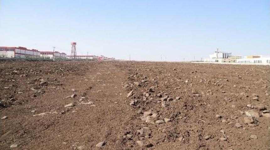 B&uuml;y&uuml;kşehir Belediyesi 42 D&ouml;n&uuml;ml&uuml;k Meyve Bah&ccedil;esi Oluşturuyor