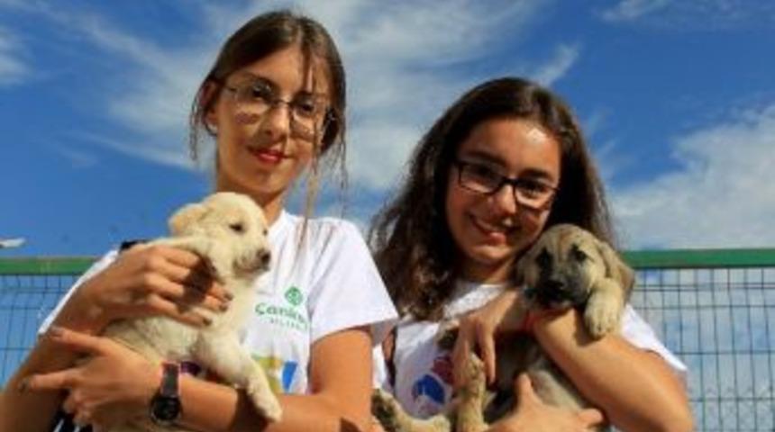 Sokak Hayvanlarına Sıcak Yuva