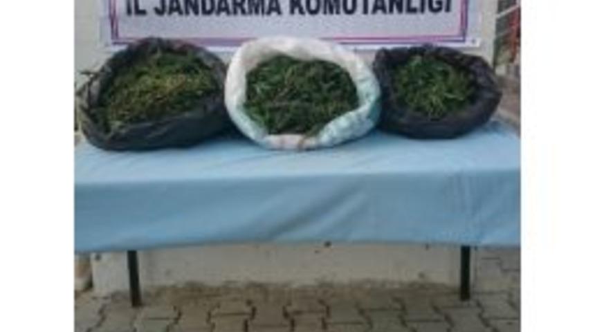 Hatay&rsquo;da Uyuşturucu Operasyonu