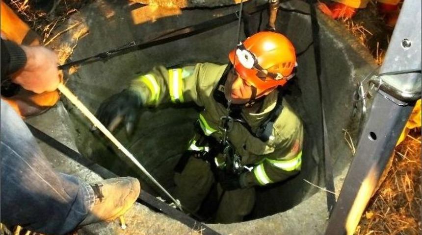 Kuyuya D&uuml;şen Ke&ccedil;iye Kurtarma Operasyonu