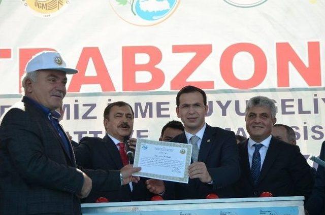 Trabzon’da 270 Milyon Tl’lik 12 Tesisin Açılış Ve Temel Atma Töreni Gerçekleştirildi